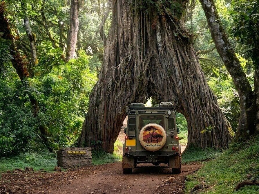 Arusha National Park
