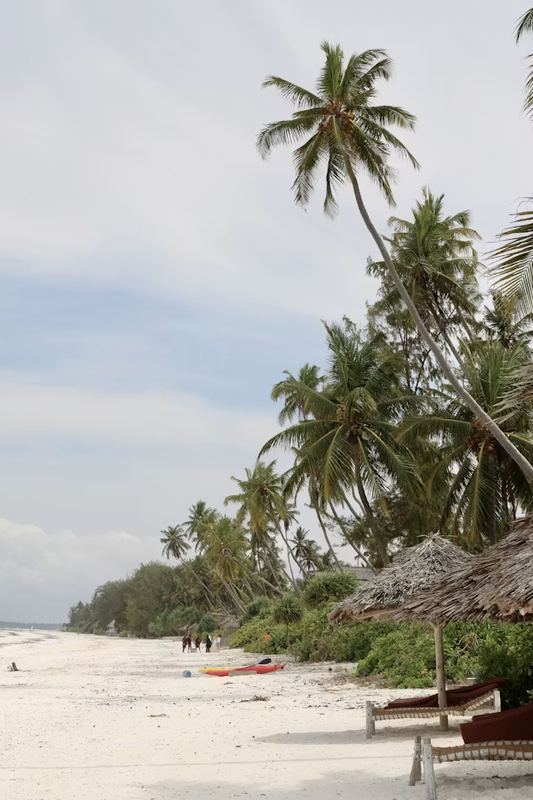 Zanzibar Palm Beach