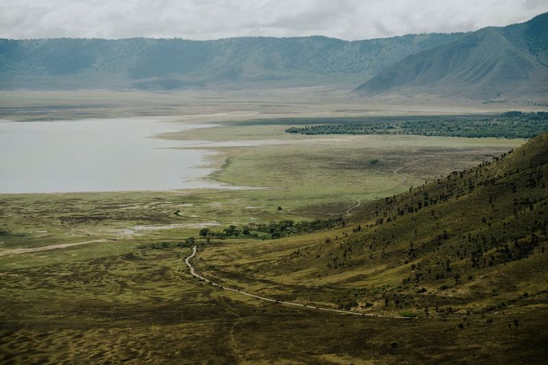 Ngorongoro Wildlife