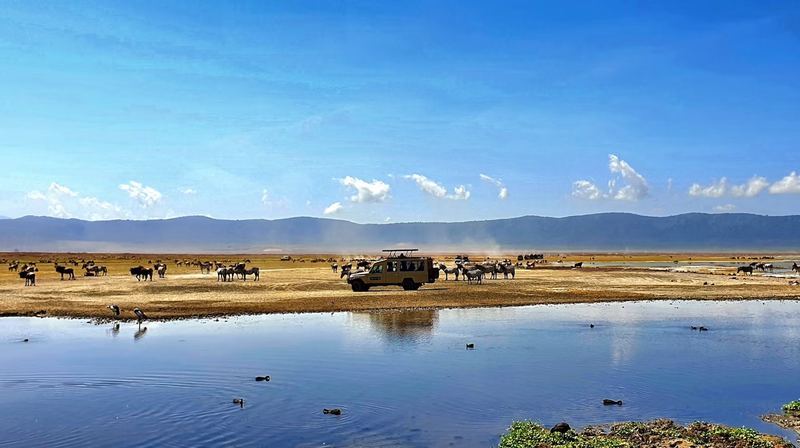 Ngorongoro Flamingos