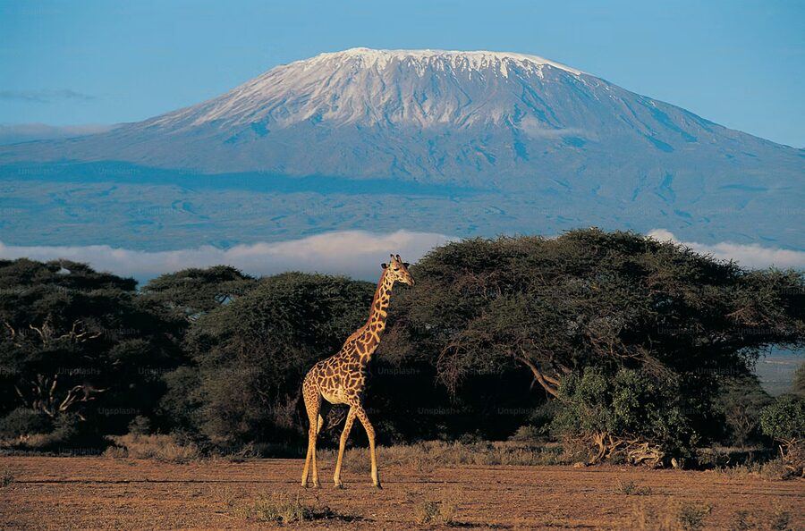 Mount Kilimanjaro snow peak