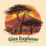 Gies Explorer